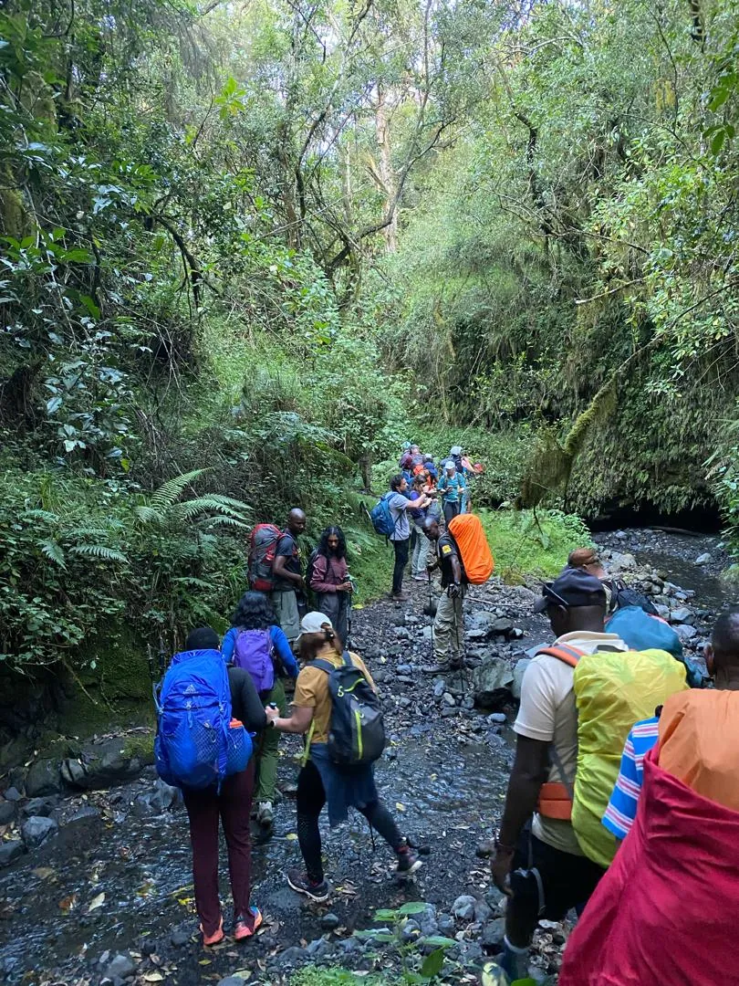 Mount Kilimanjaro trekking landscape